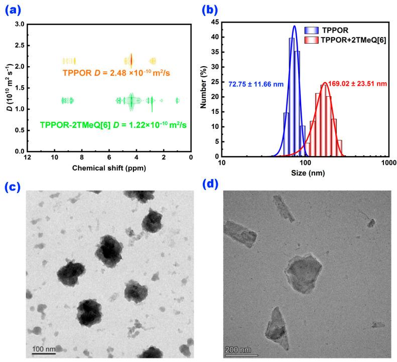 https://cdn.ncbi.nlm.nih.gov/pmc/blobs/7c61/11641528/d2b021c769a8/ijms-25-13037-g002.jpg