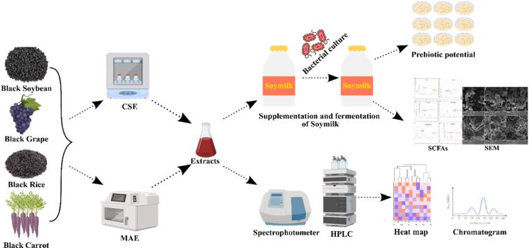 https://cdn.ncbi.nlm.nih.gov/pmc/blobs/7c63/11167309/a4382be09062/ga1.jpg