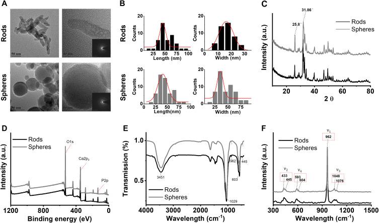 https://cdn.ncbi.nlm.nih.gov/pmc/blobs/7c63/11348988/2f71c07fde9c/IJN-19-8661-g0001.jpg