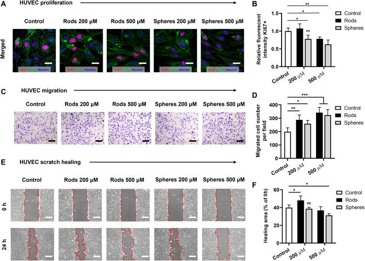 https://cdn.ncbi.nlm.nih.gov/pmc/blobs/7c63/11348988/38d455e6c344/IJN-19-8661-g0003.jpg