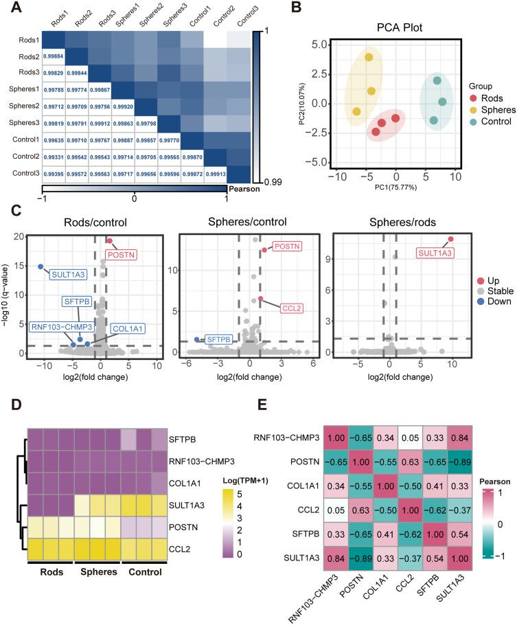 https://cdn.ncbi.nlm.nih.gov/pmc/blobs/7c63/11348988/77a8f70f35ff/IJN-19-8661-g0004.jpg