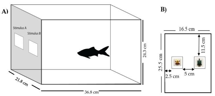 https://cdn.ncbi.nlm.nih.gov/pmc/blobs/7c64/9311921/e1352e986494/animals-12-01797-g001.jpg