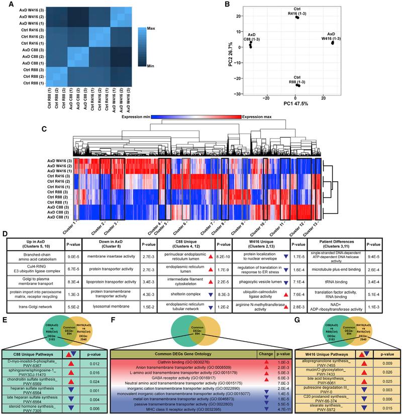 https://cdn.ncbi.nlm.nih.gov/pmc/blobs/7c67/6275075/a736ec657af1/nihms-1511534-f0004.jpg