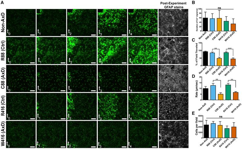 https://cdn.ncbi.nlm.nih.gov/pmc/blobs/7c67/6275075/aa2bda4c0bb7/nihms-1511534-f0006.jpg