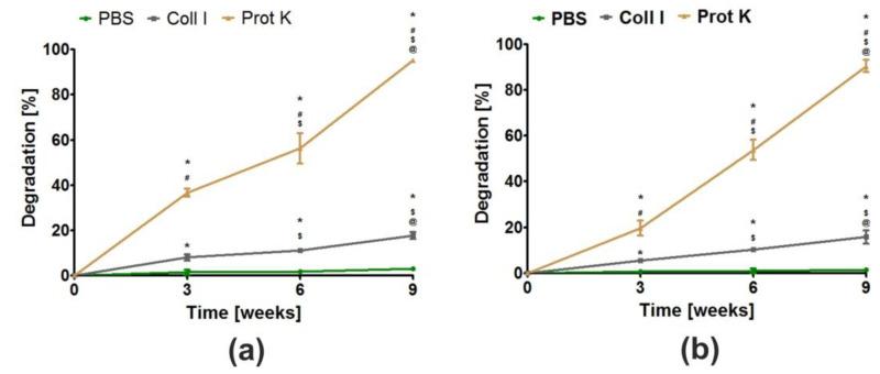 https://cdn.ncbi.nlm.nih.gov/pmc/blobs/7c6a/9600130/247ce10ea3b4/cells-11-03251-g005.jpg