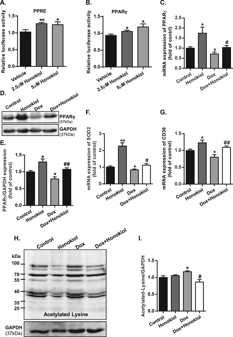 https://cdn.ncbi.nlm.nih.gov/pmc/blobs/7c6e/5607346/24c95fdf4ab1/41598_2017_12095_Fig3_HTML.jpg