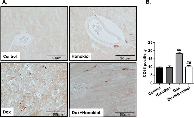 https://cdn.ncbi.nlm.nih.gov/pmc/blobs/7c6e/5607346/87a57435be13/41598_2017_12095_Fig5_HTML.jpg