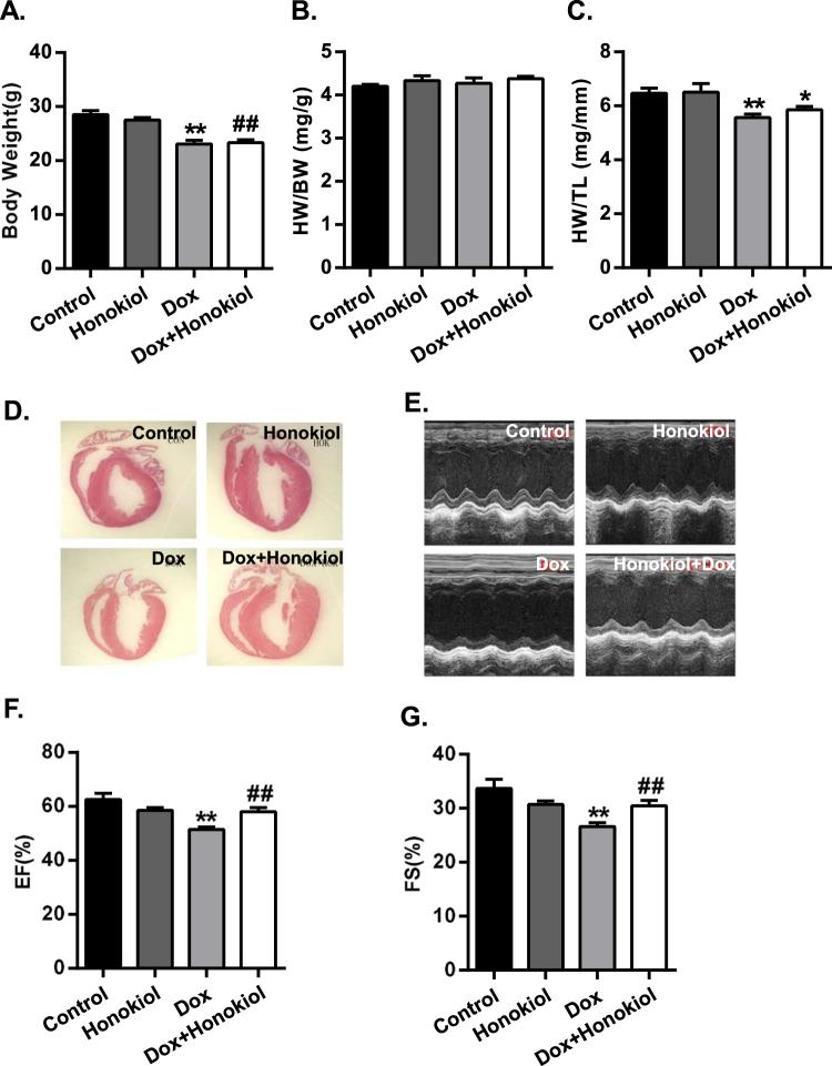 https://cdn.ncbi.nlm.nih.gov/pmc/blobs/7c6e/5607346/9909815d5e57/41598_2017_12095_Fig7_HTML.jpg