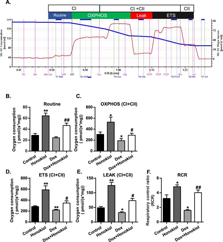 https://cdn.ncbi.nlm.nih.gov/pmc/blobs/7c6e/5607346/f75d99132a29/41598_2017_12095_Fig2_HTML.jpg
