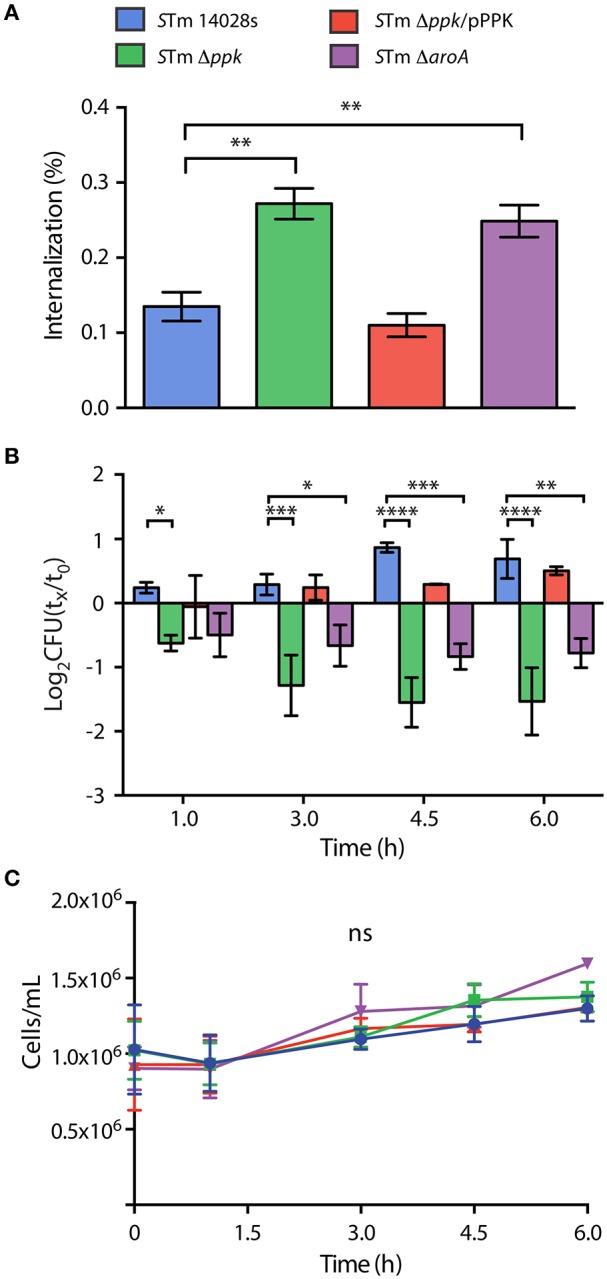 https://cdn.ncbi.nlm.nih.gov/pmc/blobs/7c6e/5797601/556ceb8fbb9b/fcimb-08-00008-g0002.jpg