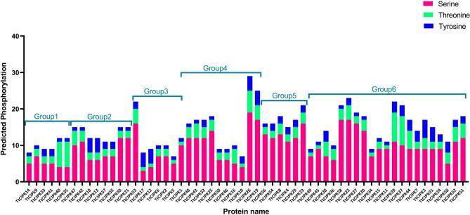https://cdn.ncbi.nlm.nih.gov/pmc/blobs/7c6f/12260105/22d09570fdc5/41598_2025_11099_Fig6_HTML.jpg