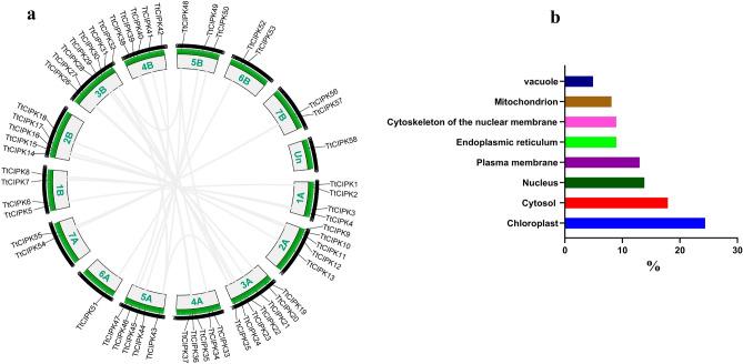 https://cdn.ncbi.nlm.nih.gov/pmc/blobs/7c6f/12260105/de06c522141e/41598_2025_11099_Fig4_HTML.jpg