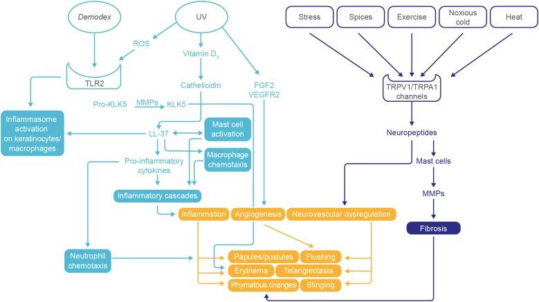 https://cdn.ncbi.nlm.nih.gov/pmc/blobs/7c71/5020118/39bbfe7e422b/12325_2016_380_Fig1_HTML.jpg