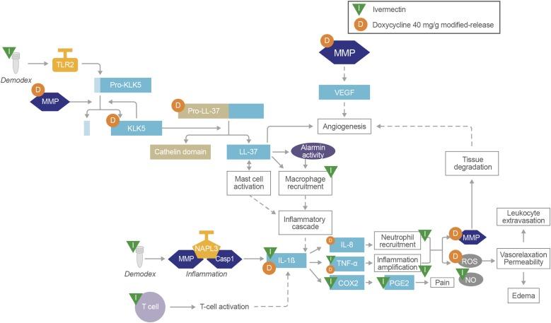 https://cdn.ncbi.nlm.nih.gov/pmc/blobs/7c71/5020118/8a5553270948/12325_2016_380_Fig5_HTML.jpg