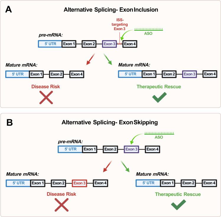 https://cdn.ncbi.nlm.nih.gov/pmc/blobs/7c71/9931756/2effb17ada79/41398_2023_2356_Fig4_HTML.jpg