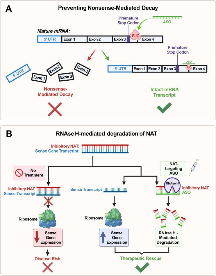 https://cdn.ncbi.nlm.nih.gov/pmc/blobs/7c71/9931756/8a953bfdd3b8/41398_2023_2356_Fig5_HTML.jpg