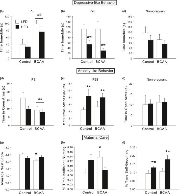 https://cdn.ncbi.nlm.nih.gov/pmc/blobs/7c72/5651398/62e7fab1a9c3/BRB3-7-e00828-g003.jpg