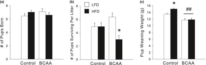 https://cdn.ncbi.nlm.nih.gov/pmc/blobs/7c72/5651398/cc90a1cfeeae/BRB3-7-e00828-g004.jpg