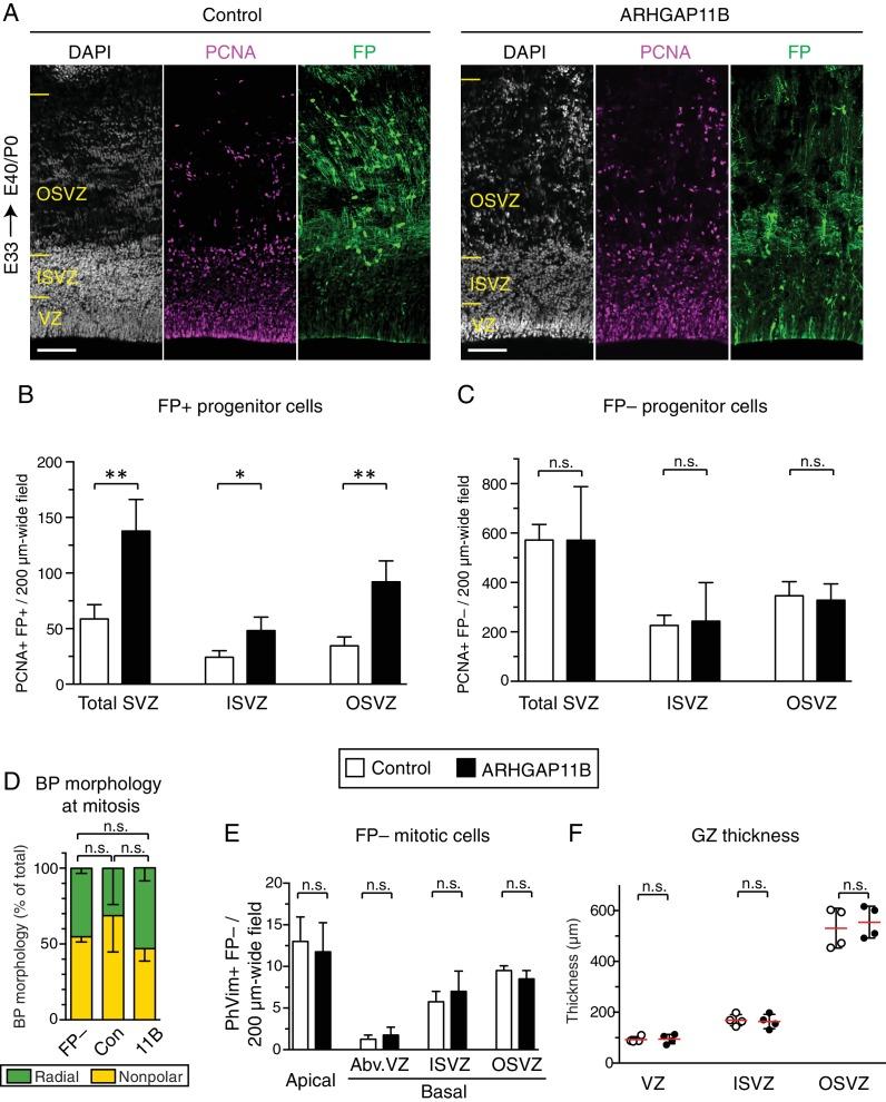 https://cdn.ncbi.nlm.nih.gov/pmc/blobs/7c72/6303107/15b1559e78a9/elife-41241-fig1-figsupp2.jpg
