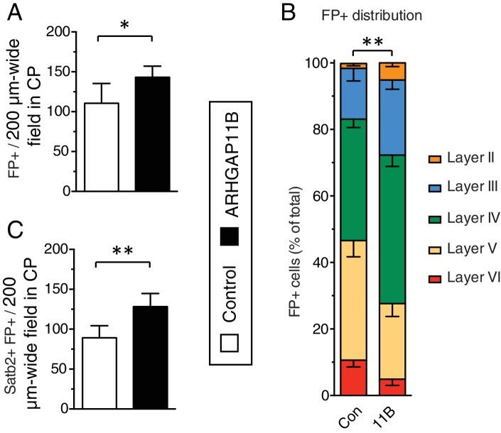 https://cdn.ncbi.nlm.nih.gov/pmc/blobs/7c72/6303107/a0cbec0369fa/elife-41241-fig4-figsupp1.jpg