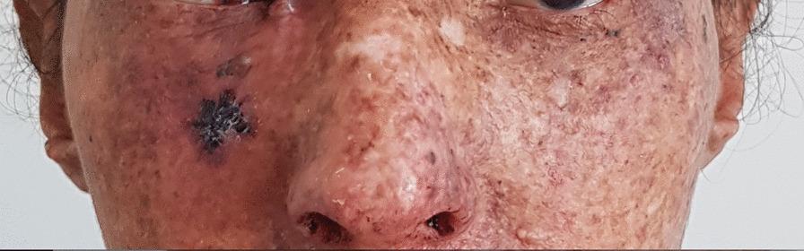 https://cdn.ncbi.nlm.nih.gov/pmc/blobs/7c74/8390231/292c040e1c00/13256_2021_2969_Fig1_HTML.jpg