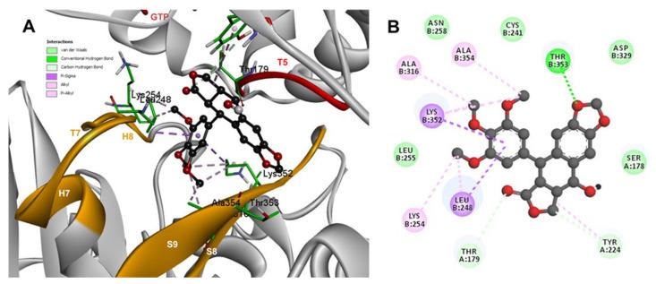 https://cdn.ncbi.nlm.nih.gov/pmc/blobs/7c74/8539788/4a9093050396/molecules-26-06155-g008.jpg