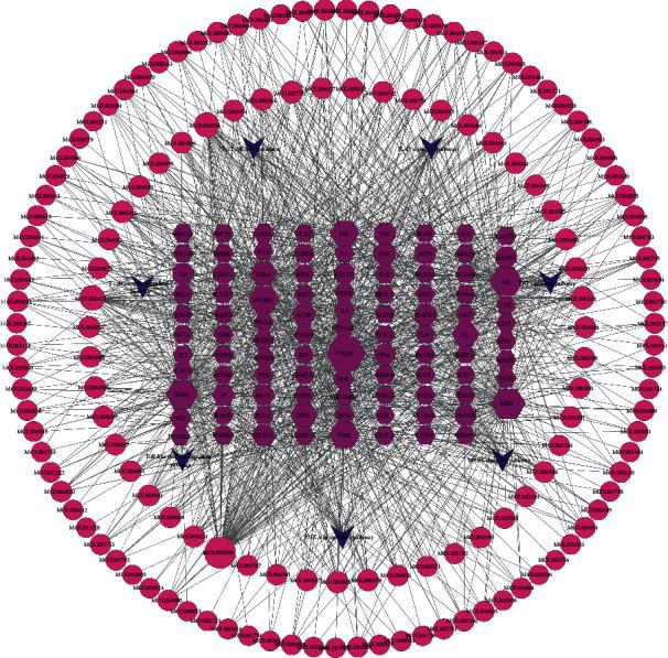 https://cdn.ncbi.nlm.nih.gov/pmc/blobs/7c75/9300327/3c8e7dd551c7/ECAM2022-6944792.007.jpg