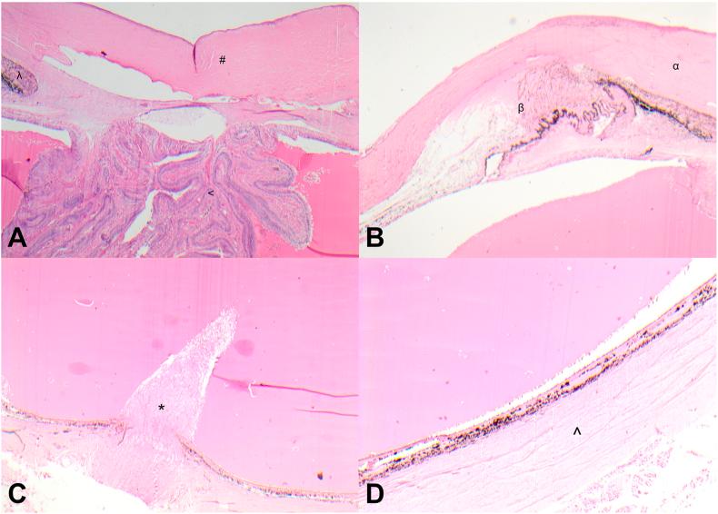 https://cdn.ncbi.nlm.nih.gov/pmc/blobs/7c77/9650019/9b66c268ede1/gr2.jpg