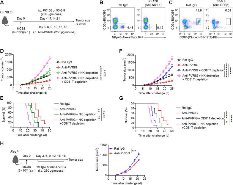 https://cdn.ncbi.nlm.nih.gov/pmc/blobs/7c78/8236157/528d3d9aac33/13045_2021_1112_Fig6_HTML.jpg