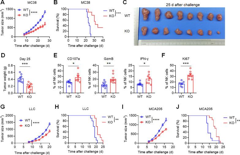 https://cdn.ncbi.nlm.nih.gov/pmc/blobs/7c78/8236157/a972dcdf655c/13045_2021_1112_Fig3_HTML.jpg