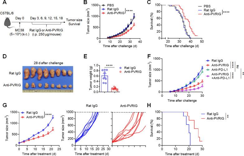 https://cdn.ncbi.nlm.nih.gov/pmc/blobs/7c78/8236157/b9a460d8ed12/13045_2021_1112_Fig4_HTML.jpg