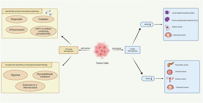 https://cdn.ncbi.nlm.nih.gov/pmc/blobs/7c7b/10164947/4e13064f19d8/fphar-14-1112484-g011.jpg