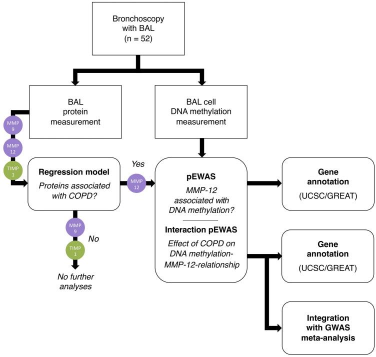 https://cdn.ncbi.nlm.nih.gov/pmc/blobs/7c7c/11724436/074e6688b5f1/12931_2024_3088_Fig1_HTML.jpg