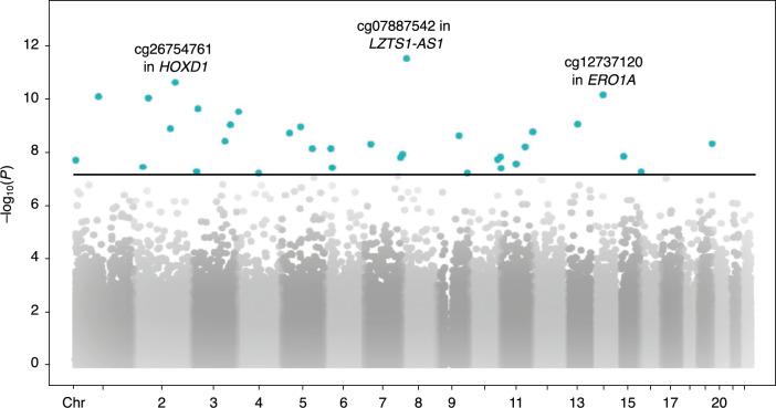 https://cdn.ncbi.nlm.nih.gov/pmc/blobs/7c7c/11724436/c7082222e16d/12931_2024_3088_Fig3_HTML.jpg
