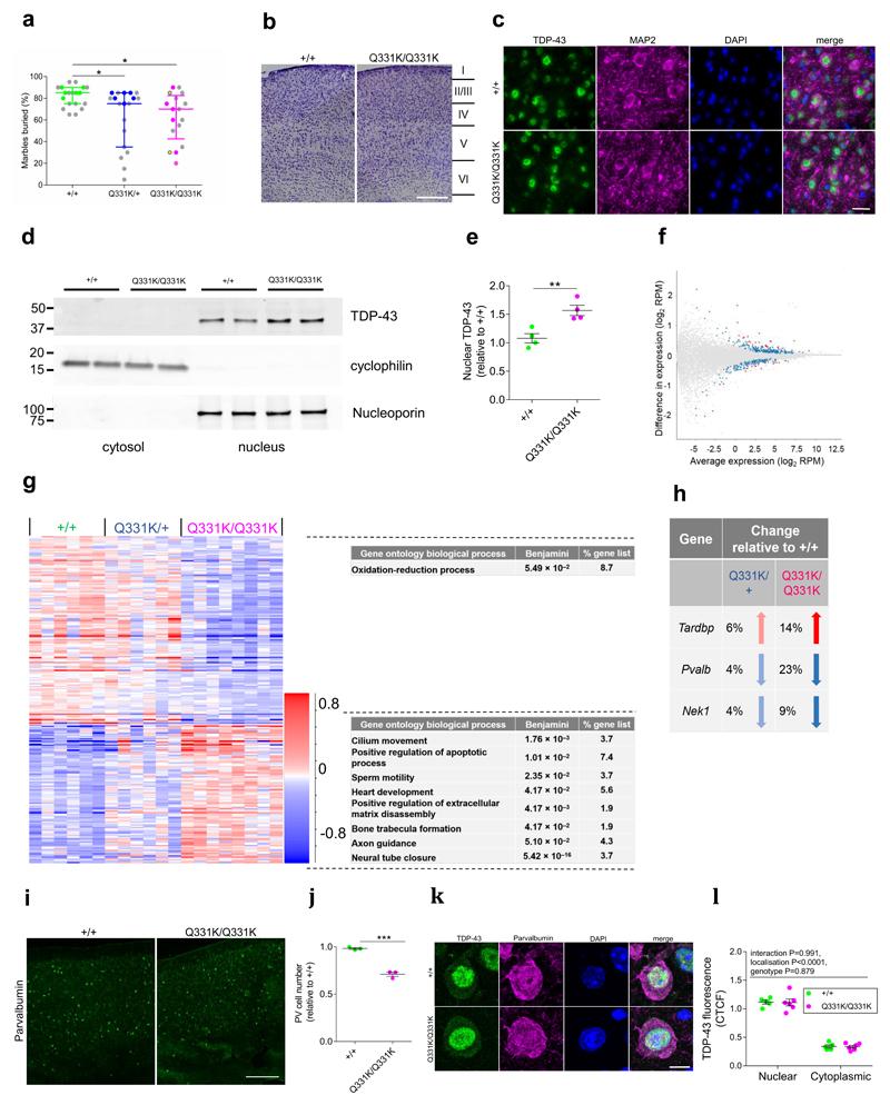 https://cdn.ncbi.nlm.nih.gov/pmc/blobs/7c7c/5884423/1bebecdee95b/emss-76214-f004.jpg