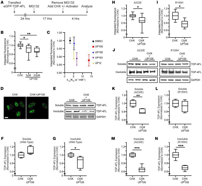 https://cdn.ncbi.nlm.nih.gov/pmc/blobs/7c7d/11257039/4fed72ff7ecd/jci-134-169039-g007.jpg