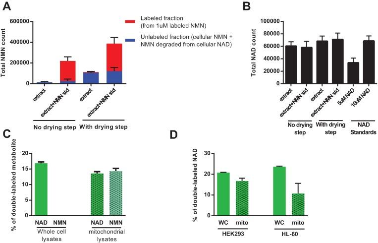 https://cdn.ncbi.nlm.nih.gov/pmc/blobs/7c7e/6013257/9417d4b5c8cd/elife-33246-fig7.jpg