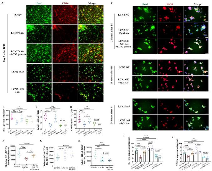 https://cdn.ncbi.nlm.nih.gov/pmc/blobs/7c80/12092887/4e090fd3499a/10571_2025_1566_Fig5_HTML.jpg