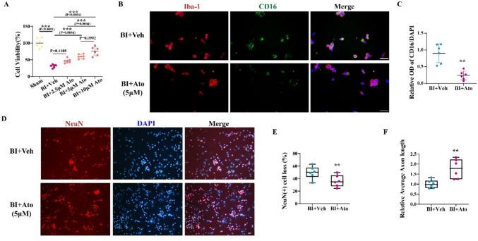 https://cdn.ncbi.nlm.nih.gov/pmc/blobs/7c80/12092887/50443a411282/10571_2025_1566_Fig2_HTML.jpg