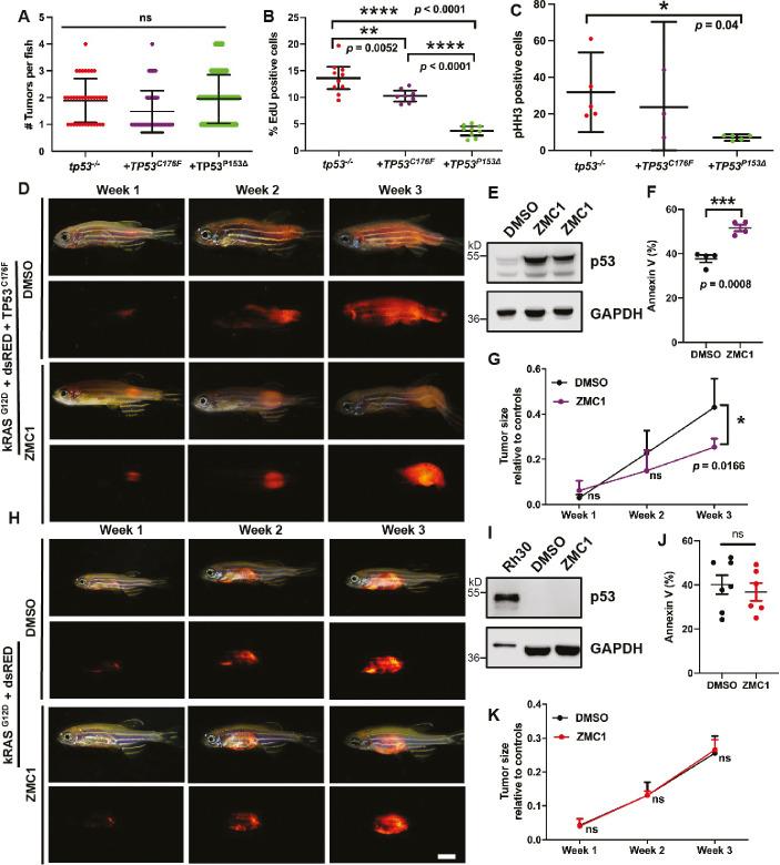 https://cdn.ncbi.nlm.nih.gov/pmc/blobs/7c81/10322150/67af684d476f/elife-68221-fig4-figsupp2.jpg