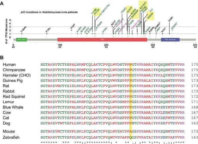 https://cdn.ncbi.nlm.nih.gov/pmc/blobs/7c81/10322150/8bb560b5d447/elife-68221-fig3-figsupp2.jpg