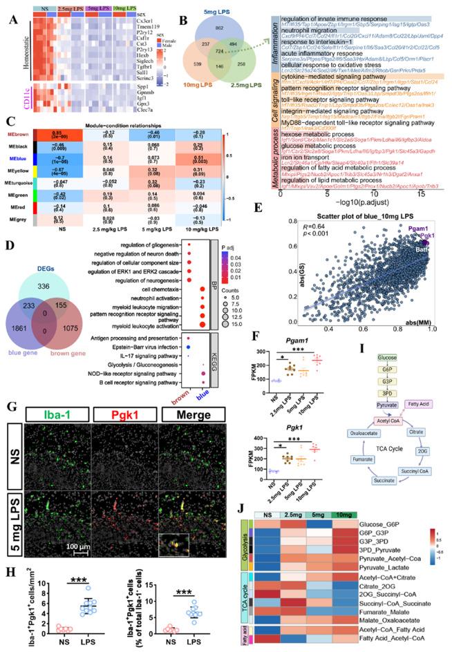 https://cdn.ncbi.nlm.nih.gov/pmc/blobs/7c81/12010587/87bd62578a18/40478_2025_2002_Fig8_HTML.jpg