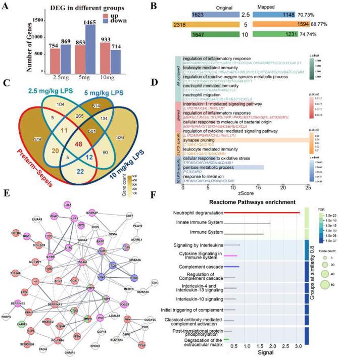 https://cdn.ncbi.nlm.nih.gov/pmc/blobs/7c81/12010587/87e73580b4a9/40478_2025_2002_Fig6_HTML.jpg