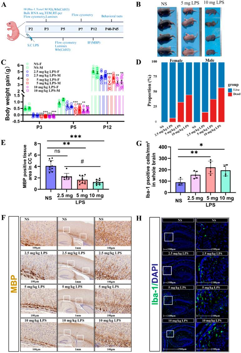 https://cdn.ncbi.nlm.nih.gov/pmc/blobs/7c81/12010587/c7fbcfa79291/40478_2025_2002_Fig2_HTML.jpg
