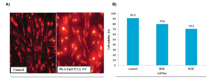 https://cdn.ncbi.nlm.nih.gov/pmc/blobs/7c81/8590716/577e93f5c660/IJB-19-e2737-g004.jpg