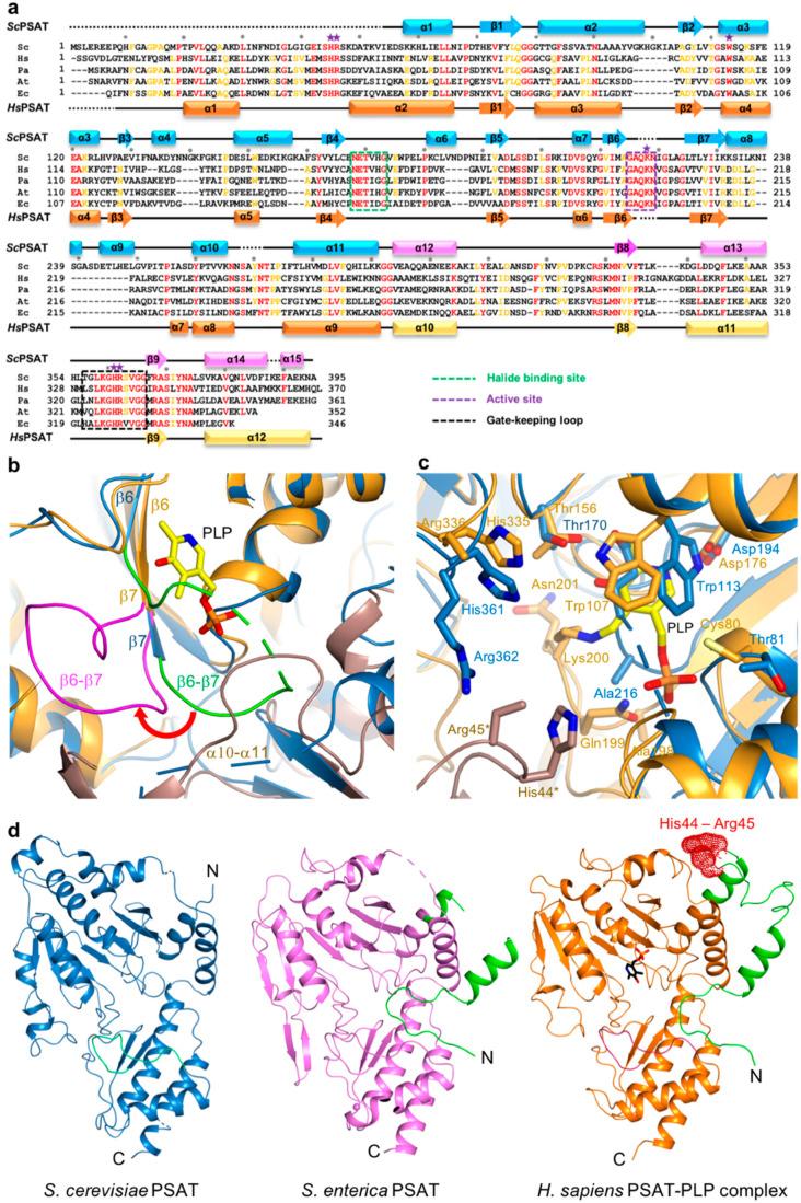 https://cdn.ncbi.nlm.nih.gov/pmc/blobs/7c82/10049462/63fbc42a215a/ijms-24-05139-g003.jpg