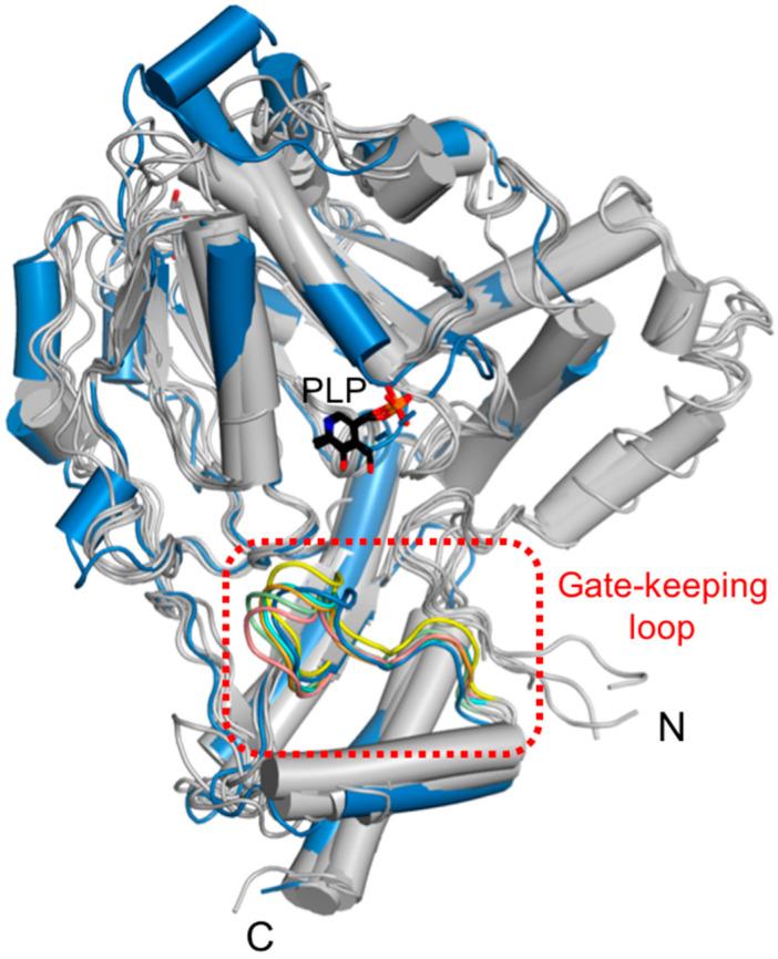 https://cdn.ncbi.nlm.nih.gov/pmc/blobs/7c82/10049462/b0fa8aac7916/ijms-24-05139-g006.jpg
