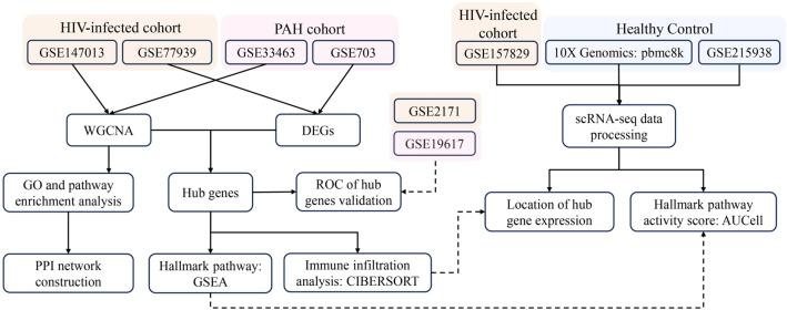 https://cdn.ncbi.nlm.nih.gov/pmc/blobs/7c84/10963360/a6ac53c963b9/41598_2024_55645_Fig1_HTML.jpg