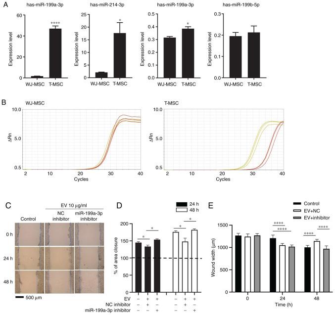 https://cdn.ncbi.nlm.nih.gov/pmc/blobs/7c84/8559701/713b3e6b244a/IJMM-48-06-05054-g02.jpg