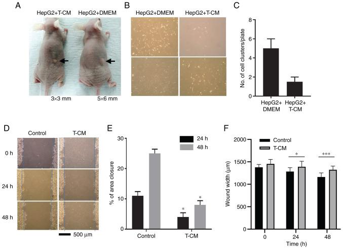 https://cdn.ncbi.nlm.nih.gov/pmc/blobs/7c84/8559701/7b876f8a6a10/IJMM-48-06-05054-g00.jpg